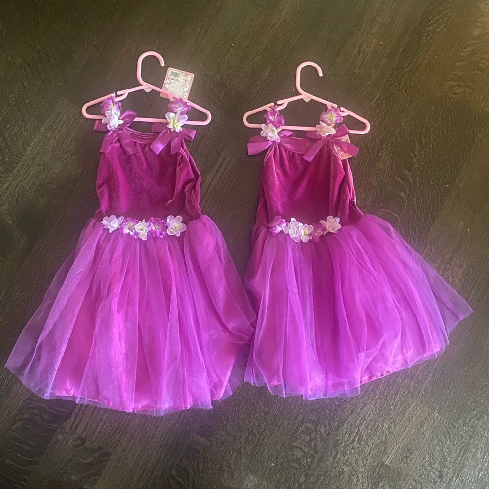 NWT Fuchsia Fairy Princess Dress Size M (5/6)